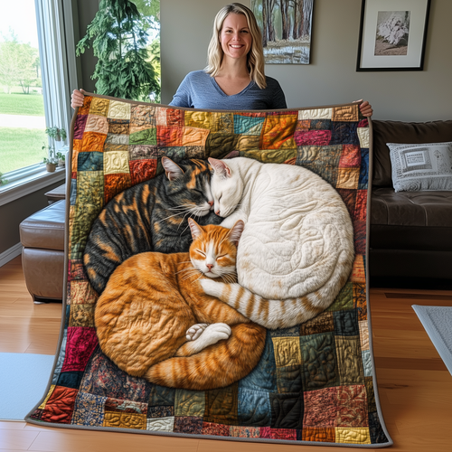 Adorable Sleeping Cat Quilted Blanket GFTOAB2439
