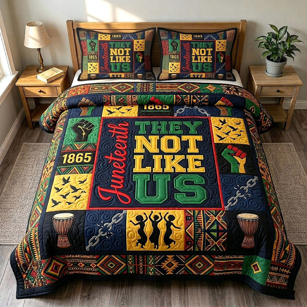 They Not Like Us 3-Piece Quilted Bedding Set GFTOTP19559